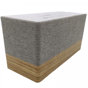 Cainteoir Raidió Bluetooth Clog FB-CR320 CLUICHE BLUETOOTH WORDEN W \\\\ t